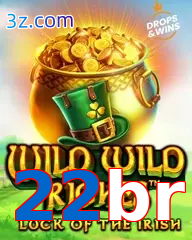 22br