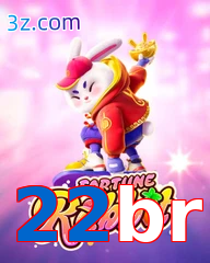 22br